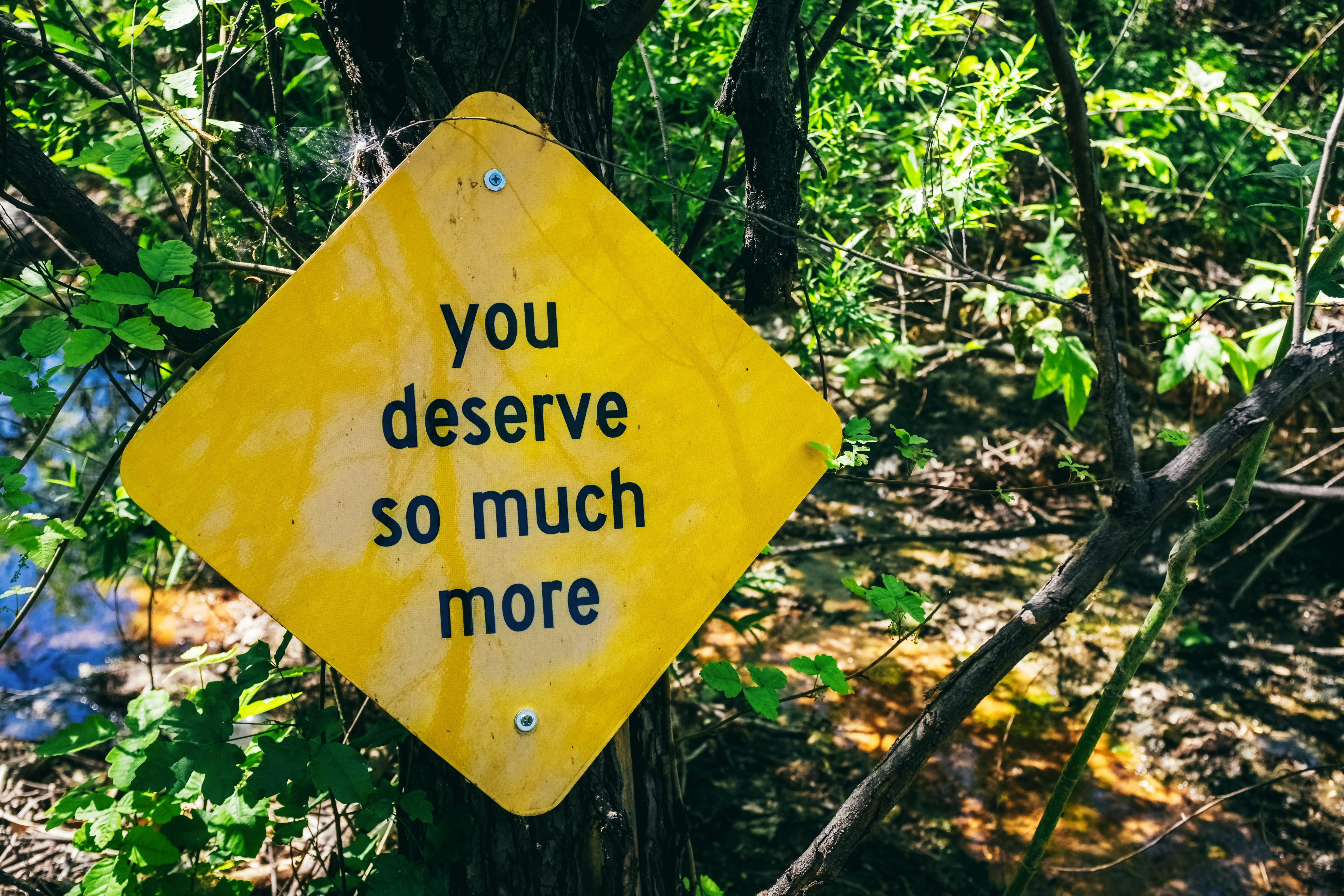 Yellow sign reading 'you deserve so much more' in the woods